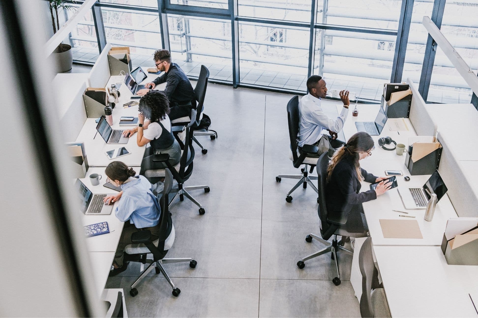Bright open-plan office with a team working at laptops
